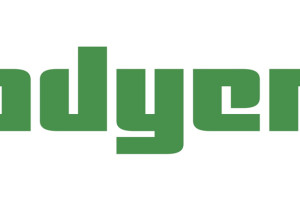 Adyen closes another funding round, now valuated at €2 billion