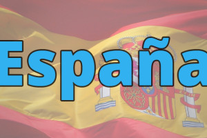 35% of Spaniards shop online once a month