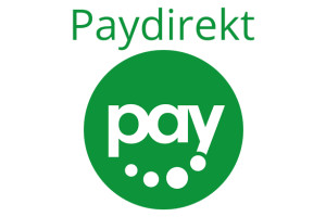 German banks launch PayPal rival Paydirekt