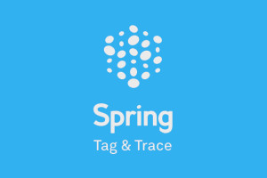 Spring launches RFID tracking on international deliveries
