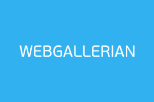 Swedish online marketplace Webgallerian relaunches