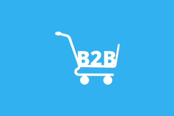 How B2B companies can start with ecommerce