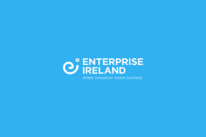 Enterprise Ireland starts ecommerce fund for Irish retailers