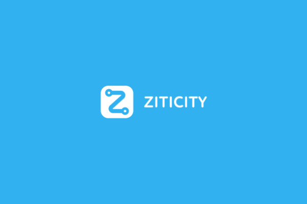 Ziticity wants 45-minute deliveries in Europe