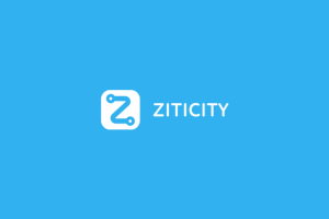 Same-day delivery platform Ziticity raises €2.2 million