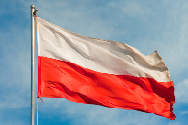 40% of Polish B2Bs sell online
