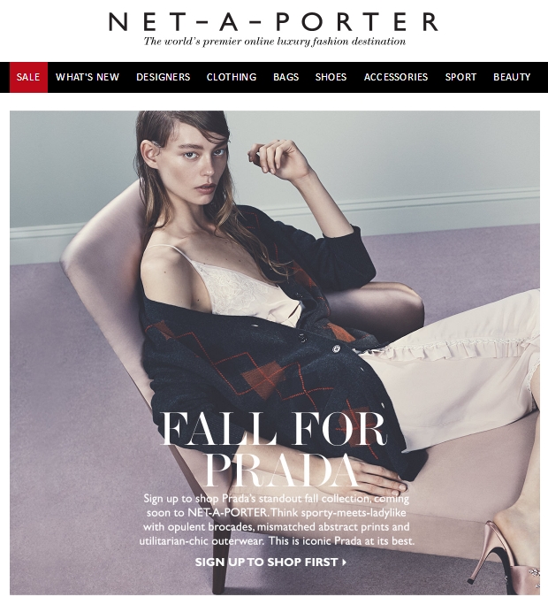 The email Net-a-porter sent to its customers.