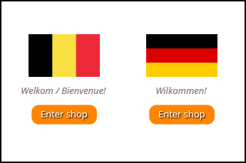 Localizing your website with ecommerce software