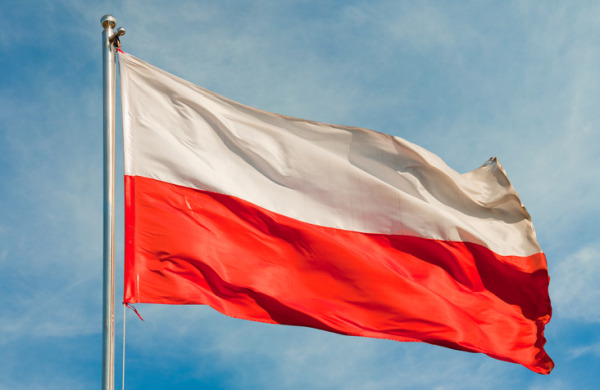40% of Polish B2Bs sell online